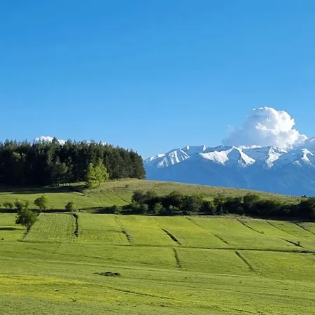 Mountain Paradise 1 - 1 Bedroom South Facing Balcony - 300mbps Wi-fi Bansko